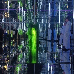 COSMOS am Königsplatz